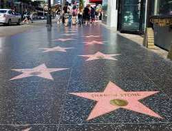 The walkway has a distance of 2km long beautifully presented on the Hollywood Boulevard with alluring decoration